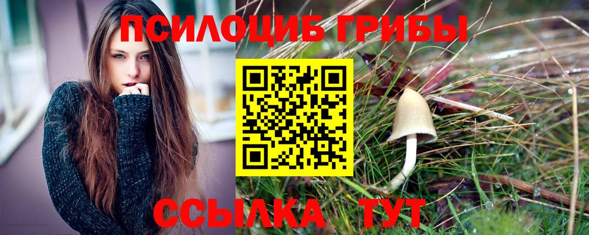 Галлюциногенные грибы Psilocybine cubensis Темрюк